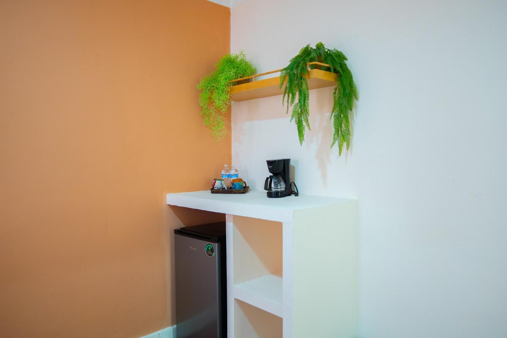 Standard Studio